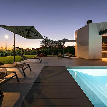 Villa Modern Ruzic With Pool Near Porec