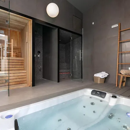 Modern Ruzic With Pool Near Porec *
