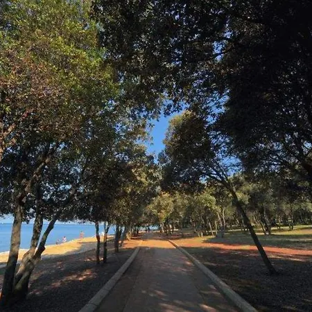 Modern Ruzic With Pool Near Porec 빌라 Babici
